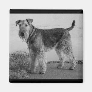 Íman Mãe de cachorro fofo amante de cães Airedale Terri