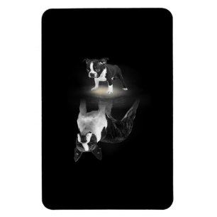 Íman Mãe de cão BostonTerrier Dog Dover Dift Mãe Pai