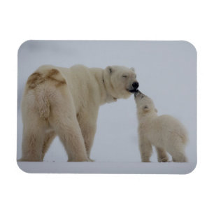 Íman Mãe do urso polar com Cub