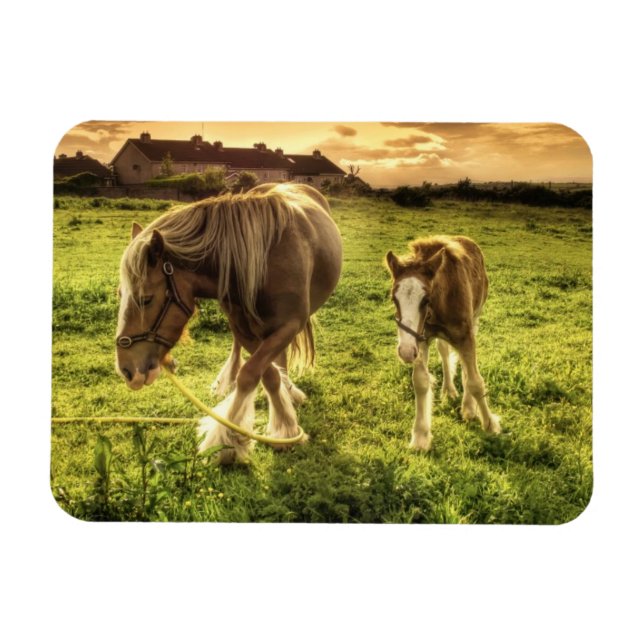 Íman Mãe e Cavalo de Pé (Horizontal)