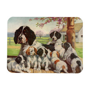 Íman Mãe e filhotes ingleses do Springer Spaniel