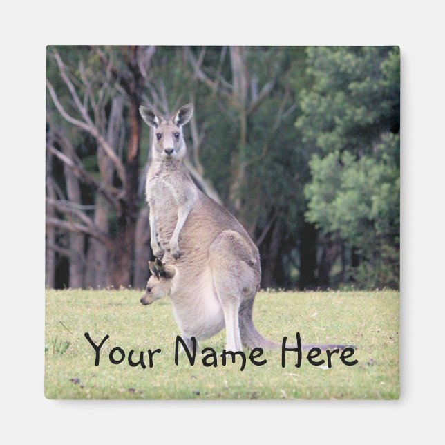 Íman Mãe Kangaroo com Bebê Joey em sua bolsa (Frente)