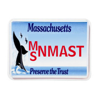 Íman MÃE License Plate Magnet
