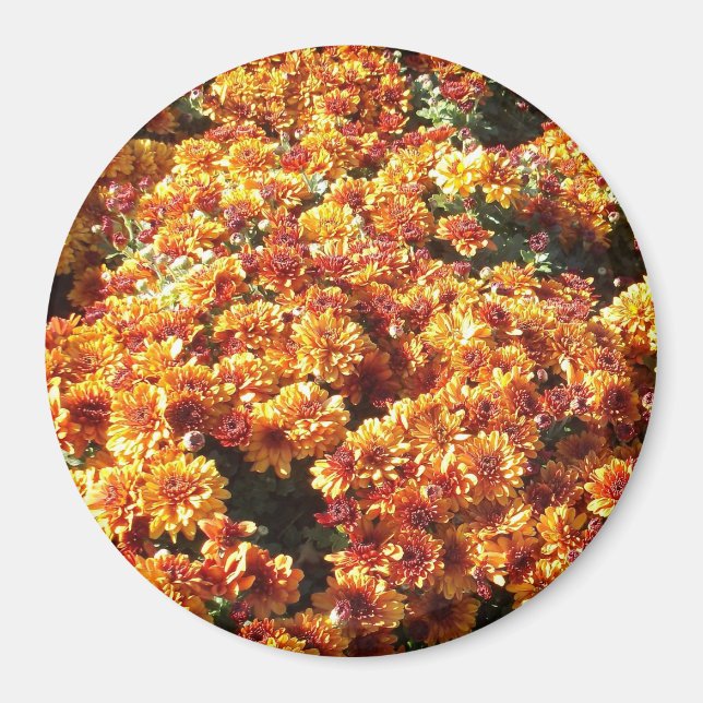 Íman Mães de outono (Frente)