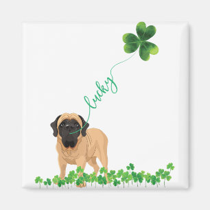Íman Mães inglesas Lucky Dog Shamrock Rua dia de Patri