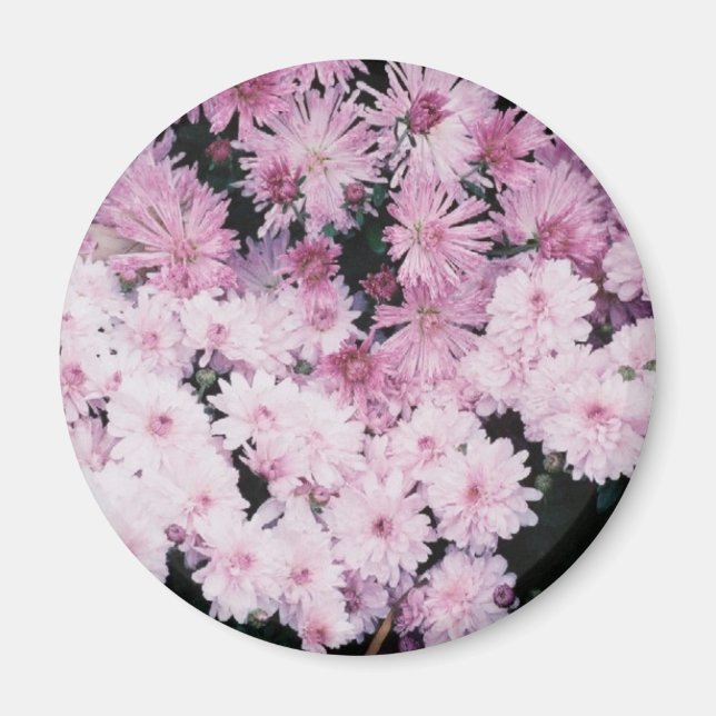 Íman mães roxas (Frente)