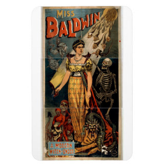 Íman MagGatinho Mágico Baldwin Magnet