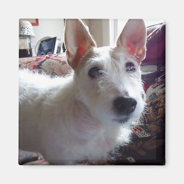 Íman Maggie Mae (Frente)