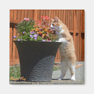 Íman Maggie May & Flowers