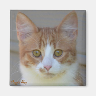 Íman Maggie May Magnet