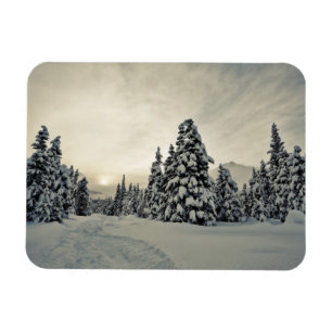 Íman Magia de inverno