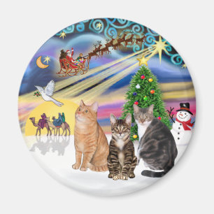 Íman Magia do Natal (R) - Três gatos (AmSH)