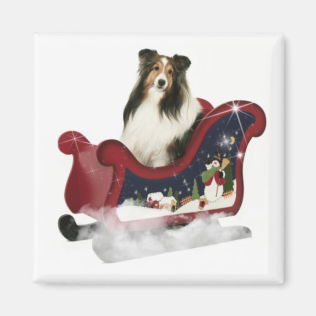 Íman Magic Sleigh Sheltie (Frente)