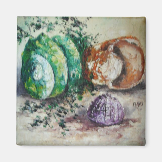 Íman Mágil Ann Hayes Pintando Conchas do Mar (Frente)