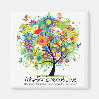 Íman Magnent ao quadrado