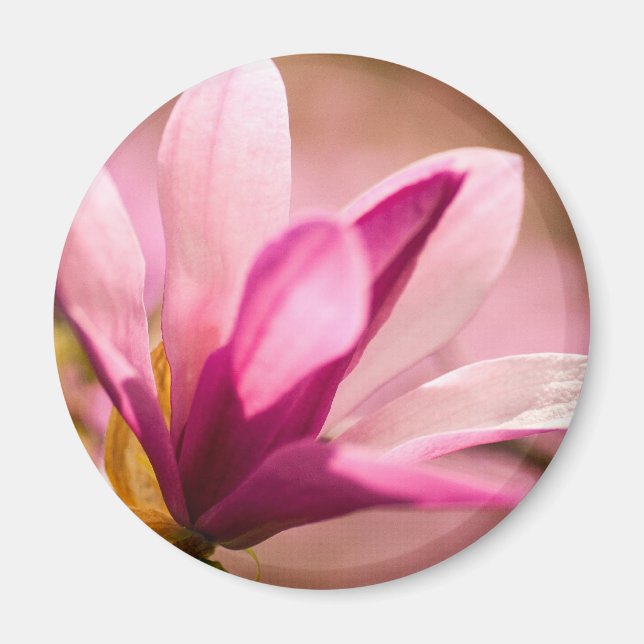 Íman Magnésia Rosa (Frente)