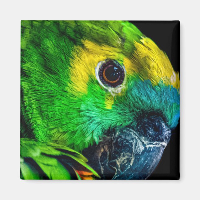 Íman Magnet (Frente)