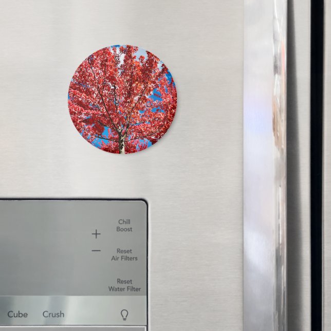 Íman Magnet (In Situ (Fridge))