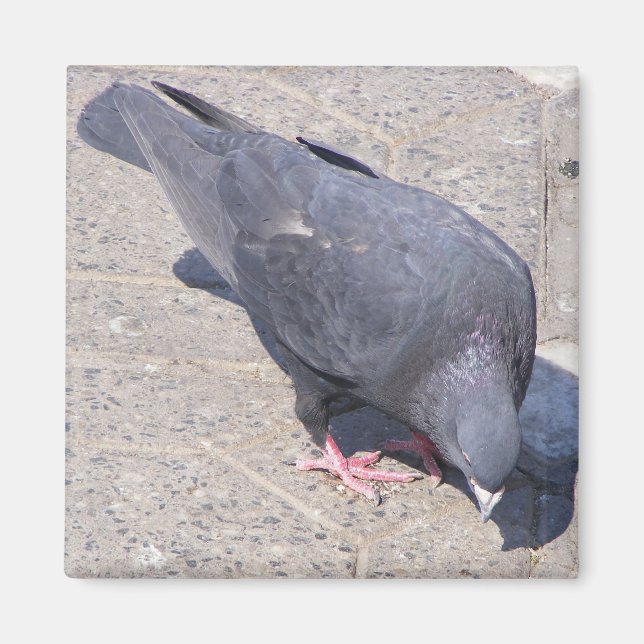 Íman Magnet (Frente)