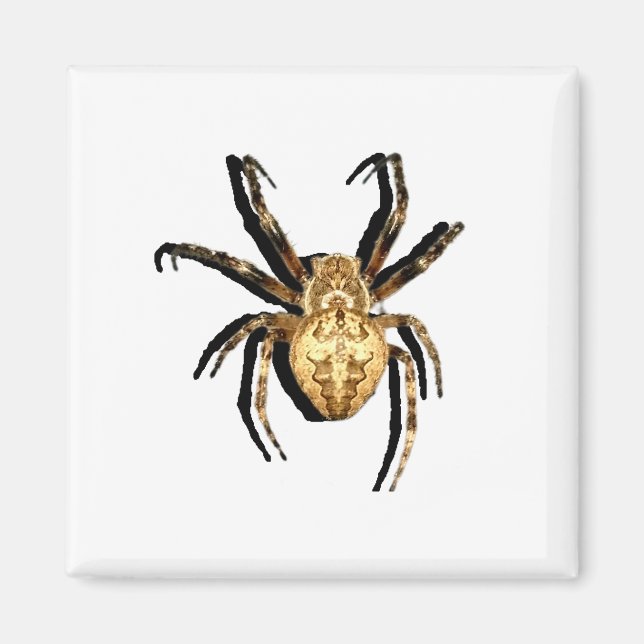 Íman Magnet (Frente)