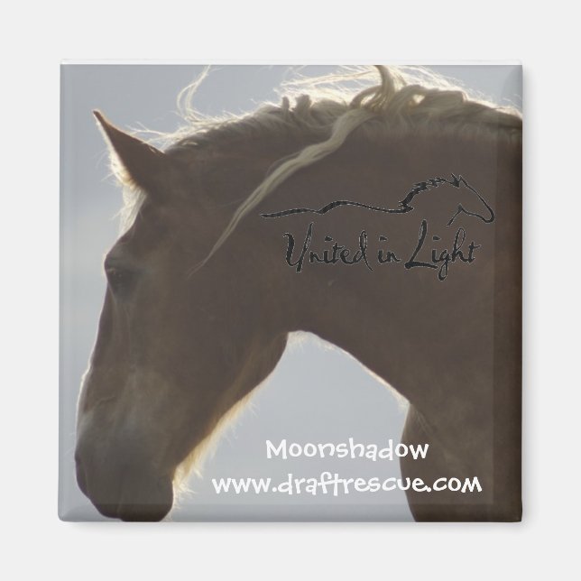 Íman Magnet (Frente)