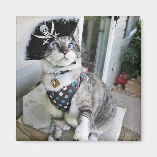 Íman Magnet (Frente)