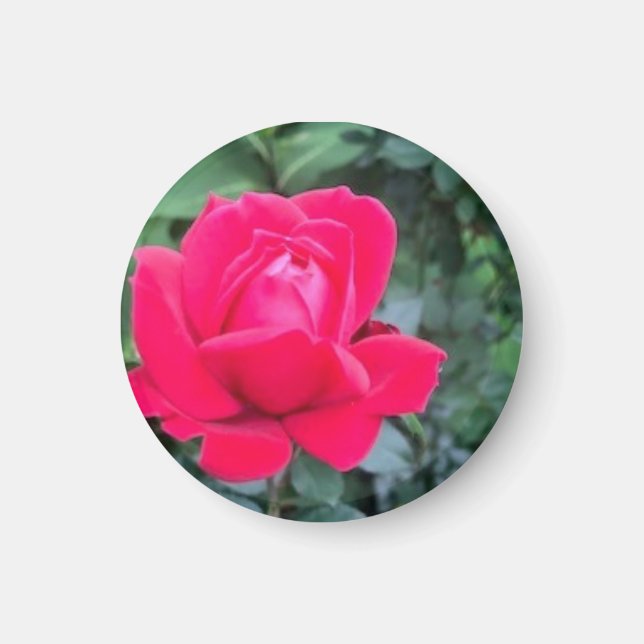 Íman Magnet (Frente)