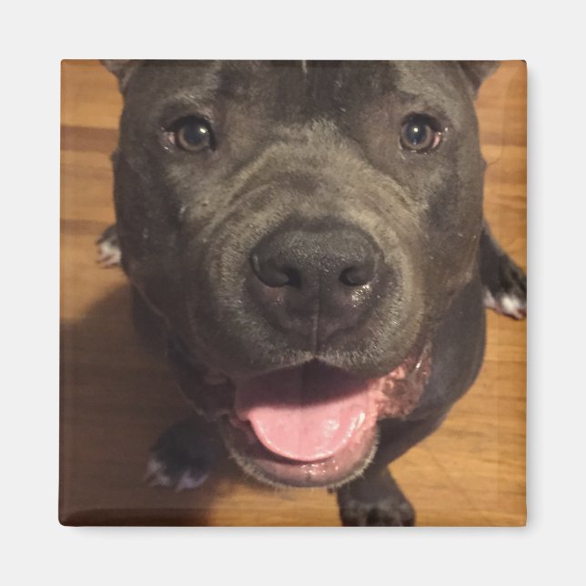 Íman Magnet (Frente)