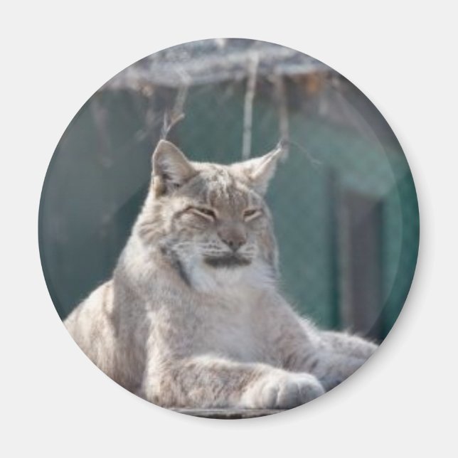 ÍMAN MAGNET 09 (Frente)