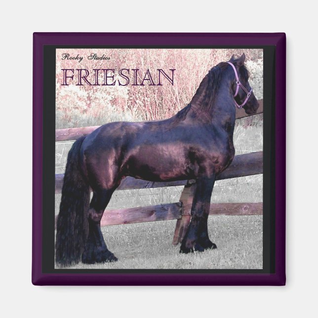 Íman Magnet 2 Grande Frísia Horse (Frente)