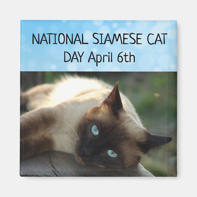 Íman Magnet 6 de abril para o Dia Nacional do Gato Siam (Frente)