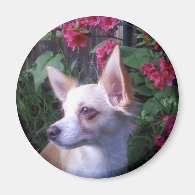 Íman Magnet "Adicionar Sua Própria Foto" (Frente)