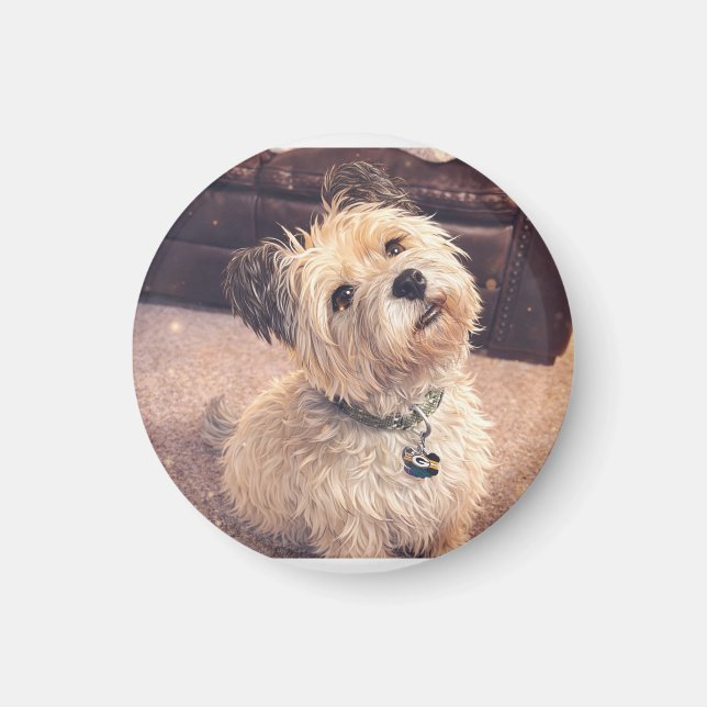 Íman Magnet Adorable Terrier Puppy (Frente)