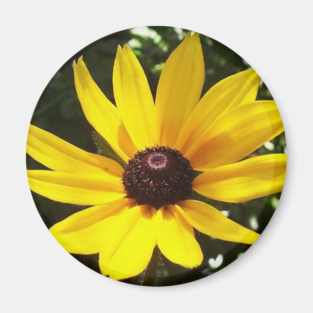 Íman Magnet Amarelo (Frente)