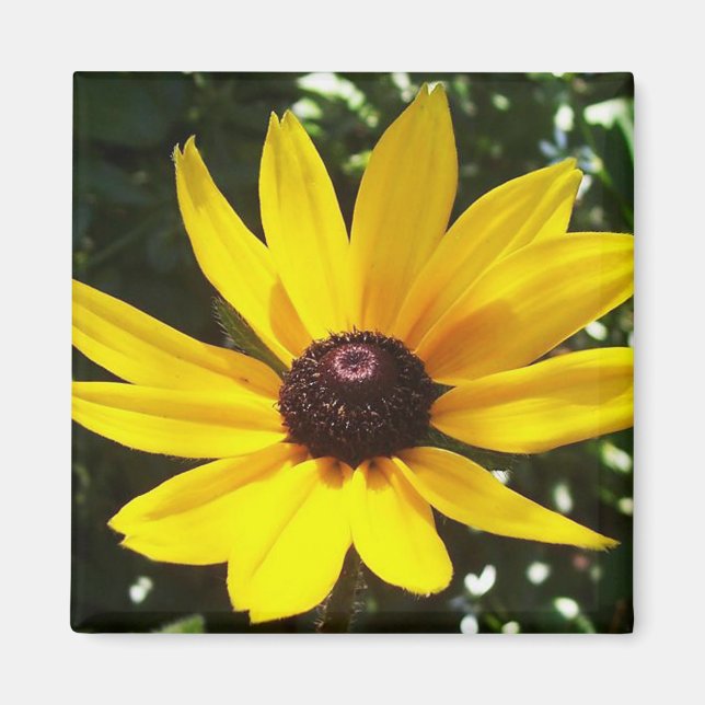 Íman Magnet Amarelo (Frente)