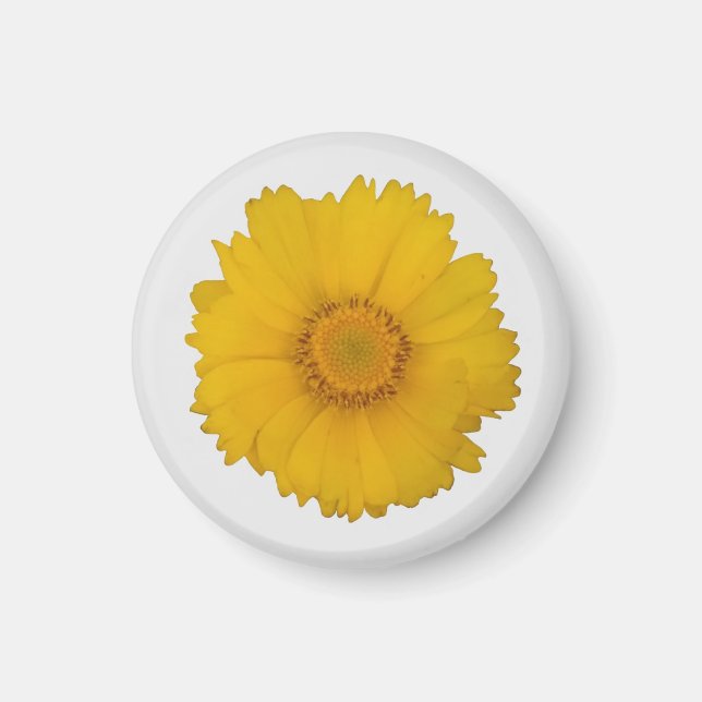 Íman Magnet Amarelo (Frente)
