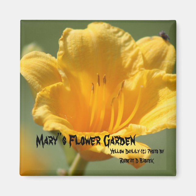 Íman Magnet Amarelo Dayliliar (Frente)