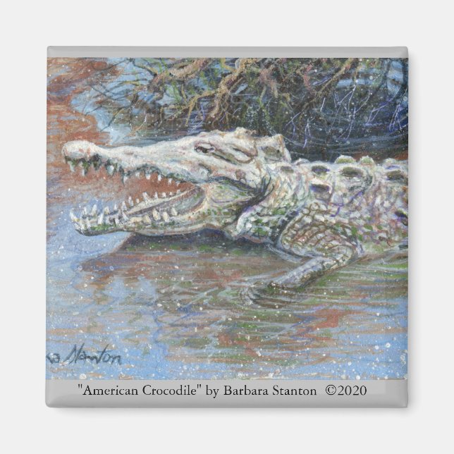 Íman Magnet "American Crocodile" (Frente)