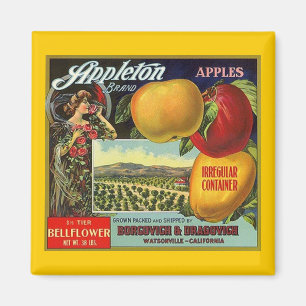 ÍMAN MAGNET ~ APPLETON MARCA APPLES RÓTULO DA FRUTA DE