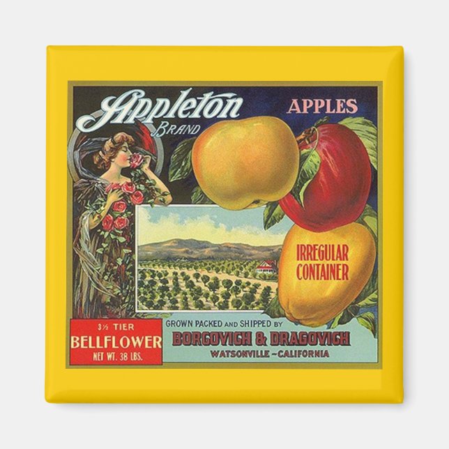 ÍMAN MAGNET ~ APPLETON MARCA APPLES RÓTULO DA FRUTA DE  (Frente)