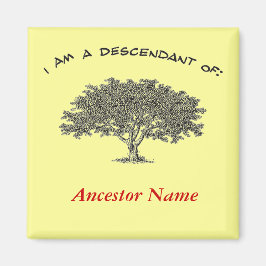 Íman Magnet - Árvore Genealógica