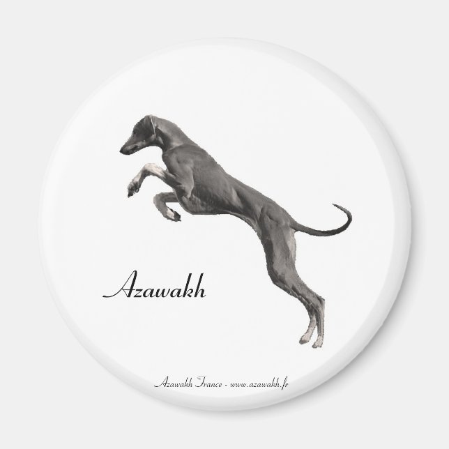 Íman MAGNET Azawakh 2 (Frente)