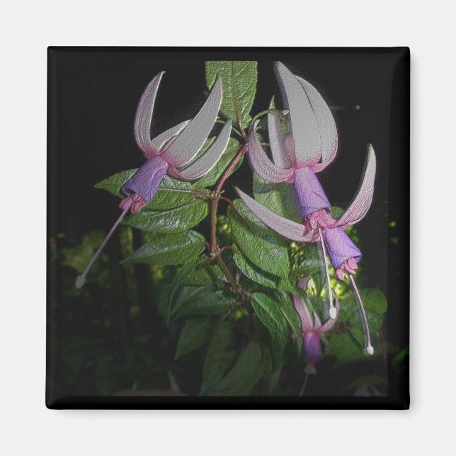 Íman Magnet Azul Fushia (Frente)