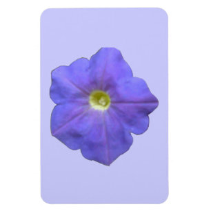 Íman Magnet Azul Petunia Premium