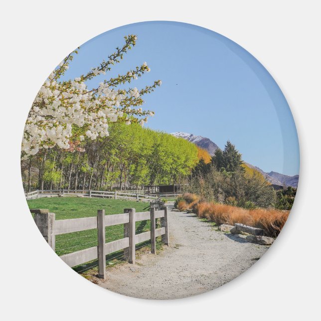 Íman Magnet - backdrop of Walter's peak (Frente)