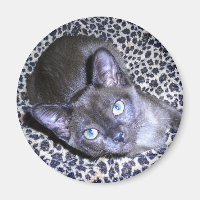 Íman Magnet birmanês (Frente)