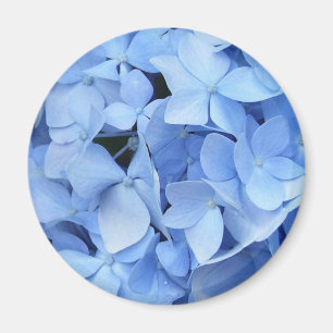 Íman Magnet - Blue Hydrangea