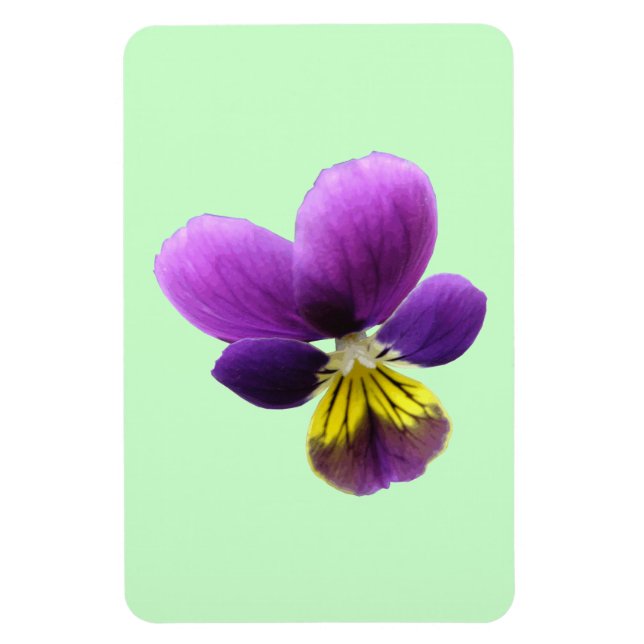 Íman Magnet bonito Pansy Premium (Vertical)