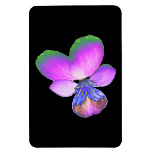 Íman Magnet bonito Pansy Premium