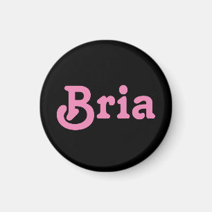 Íman Magnet Bria
